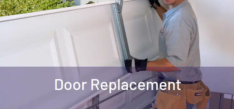  Door Replacement 