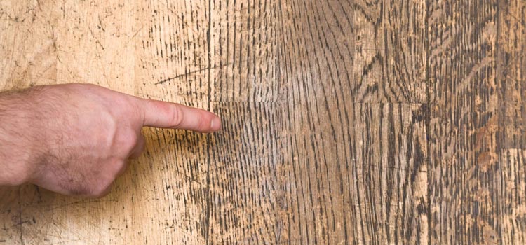 Wood Door Scratch Repair in Encinitas